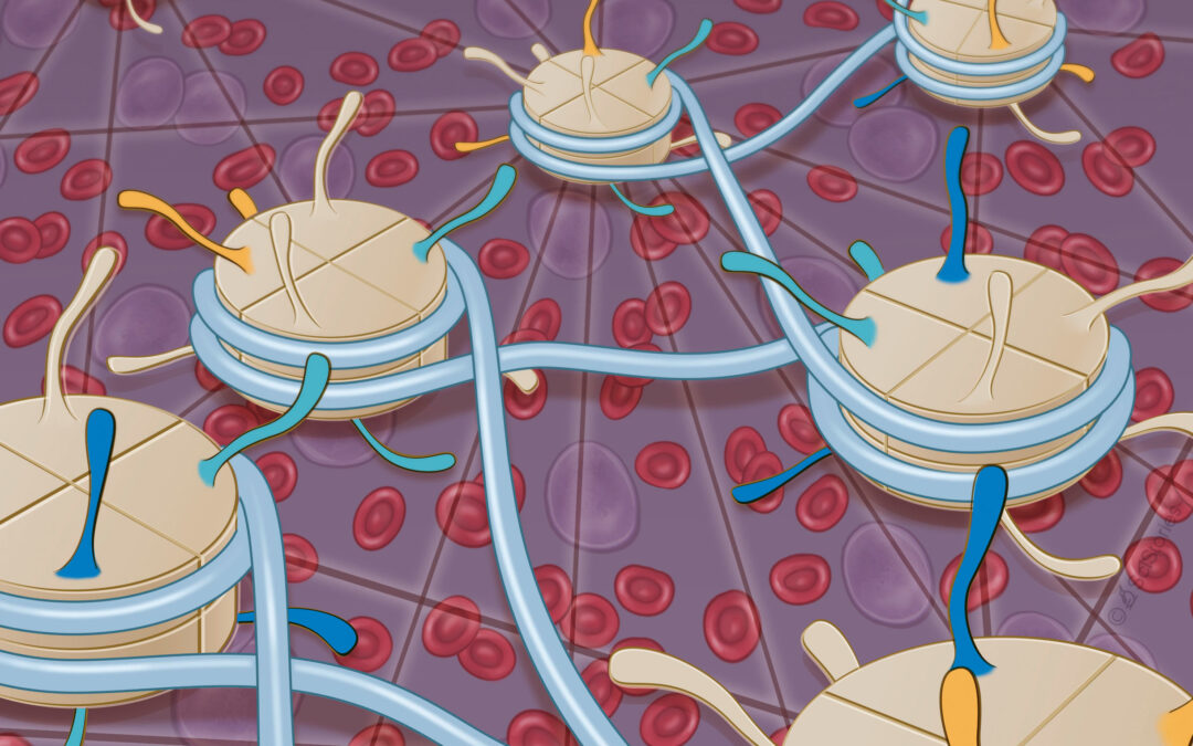 Publication by the Mertens Lab on CLL