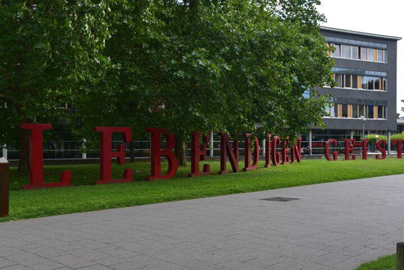 Heidelberg Faculty of Medicine